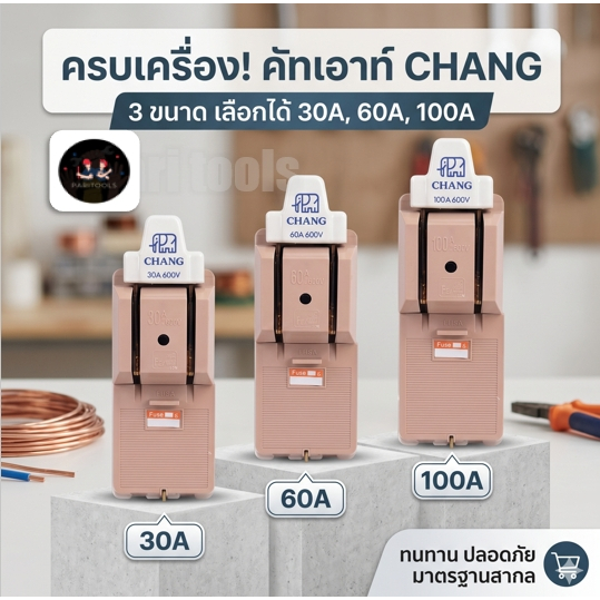 คัทเอาท์ 2P พร้อมฟิวส์ ตราช้าง มีขนาด 30A, 60A และ 100A : CHANG