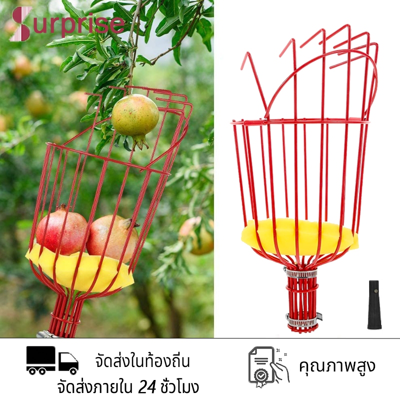 ที่สอยผลไม้ ที่สอยมะม่วง ที่สอยมะม่วง ไม้สอยมังคุด พร้อมฟองน้ำป้องกันผลไม้บอบช้ำ