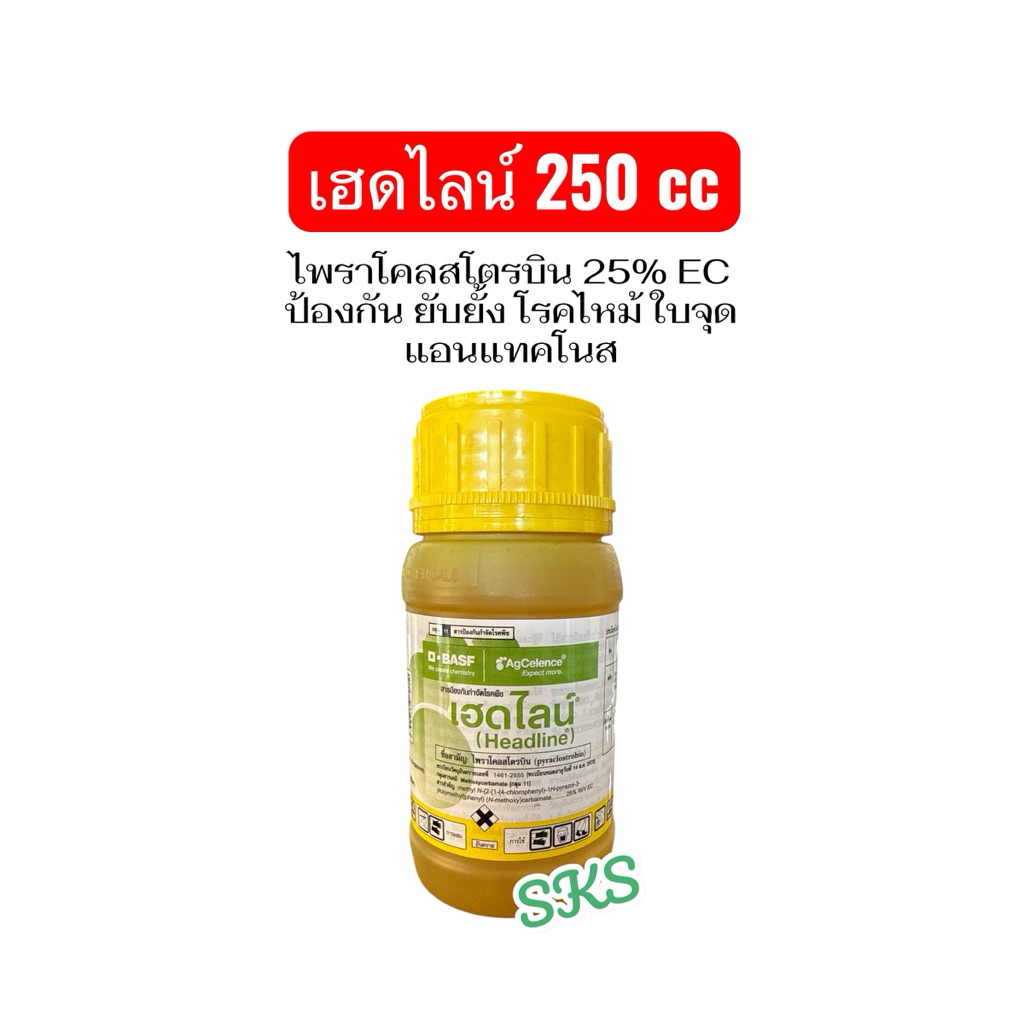 เฮดไลน์ 250cc ป้องกันโรคพืชได้กว้างขวาง ใบจุด แอนแทรคโนส แผลไหม้