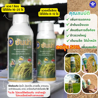 ซันน่า อะมิโน หัวเชื้อเข้มข้น-สูตรลดปุ๋ย | เพิ่มการแตกกอ บำรุงข้าวตั้งท้อง รวงใหญ่ ได้น้ำหนัก