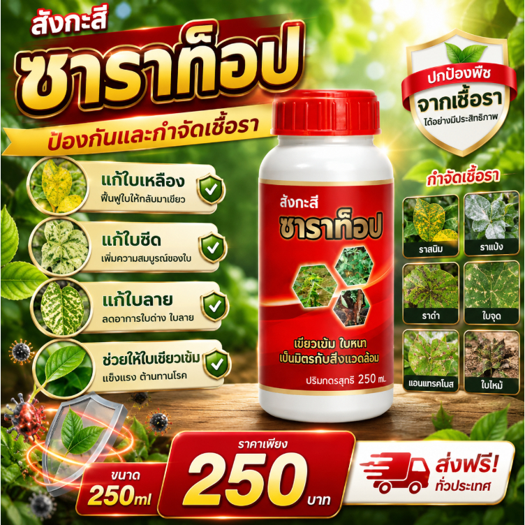 ซาราท็อป สังกะสี แก้ใบเหลือง ใบซีด ใบลาย ช่วย ใบเขียว ป้องกันและกำจัดเชื้อรารากเน่า โคนเน่า 250ซีซี และ 1ลิตร
