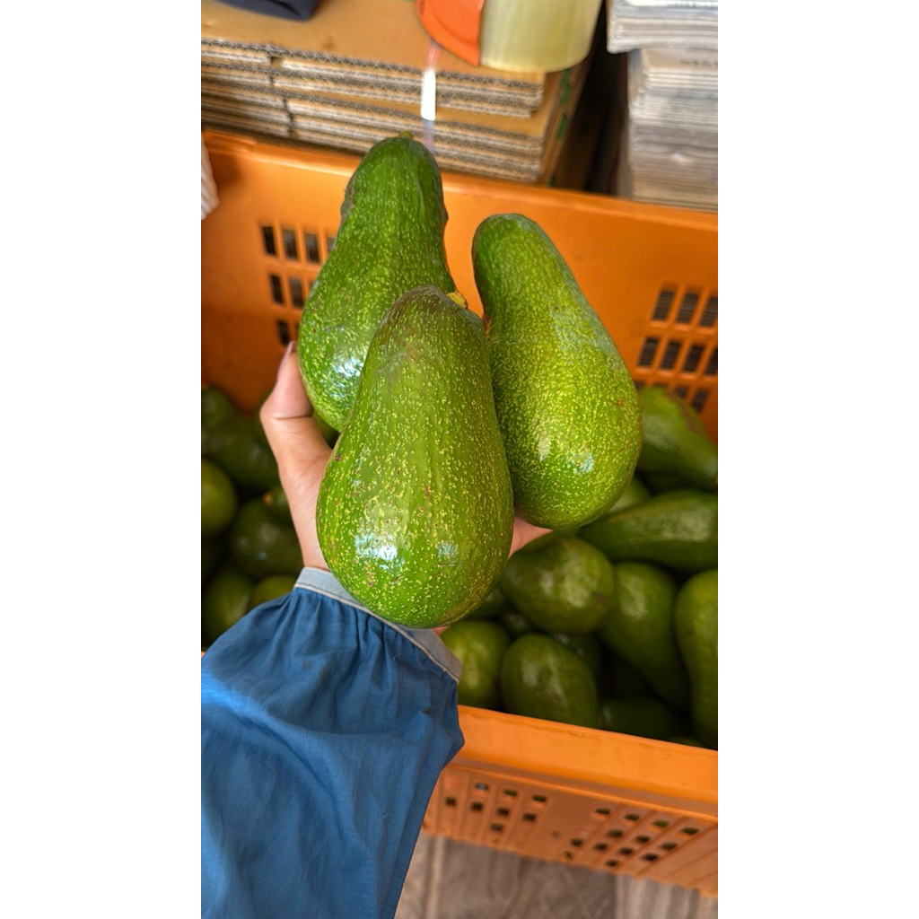 อโวคาโด้พื้นเมืองไทย1Kg.ไม่รวมกล่อง ไซร้กลาง4-5-6ลูก/โล คละทรง