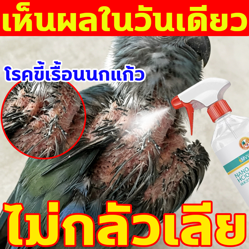 Fast Shipping สเปรย์อาบน้ำฆ่าเชื้อนก ไม่ต้องล้างน้ำ ฆ่าเชื้อขนพยาธิ ดับกลิ่นกรง ปลอดภัยกับนกทุกสายพันธุ์ ดูแลขนสัตว์ปีกเ