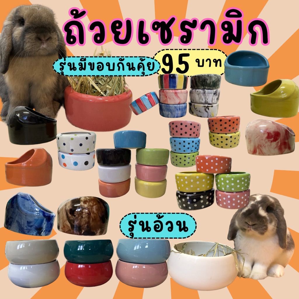 **สีใหม่เข้าแล้ว**ถ้วยเซรามิก(ขนาดใหญ่)ถ้วยอาหารกระต่ายและสัตว์ฟันแทะ