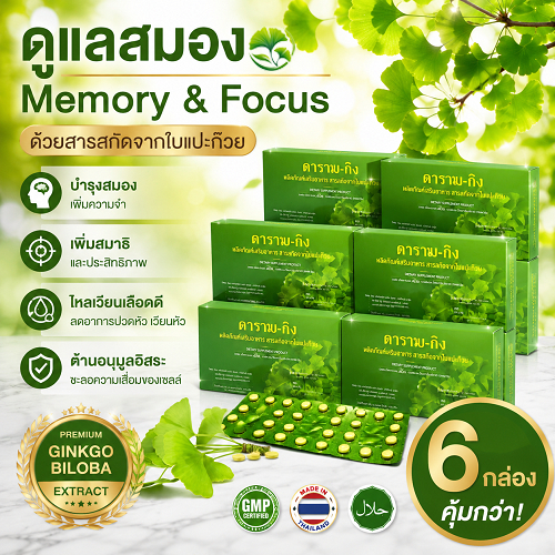 ใบแปะก๊วย Y-Ging 6 กล่อง สารสกัดจากใบแปะก๊วย กล่องละ 30 เม็ด
