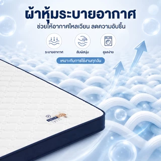 ที่นอนยางพารา 100% 3/3.5/4/5/6ฟุต ที่นอนเพื่อสุขภาพ ลดอาการปวดหลัง ไม่มีฟอร์มาลดีไฮด์ ส่งฟรี COD