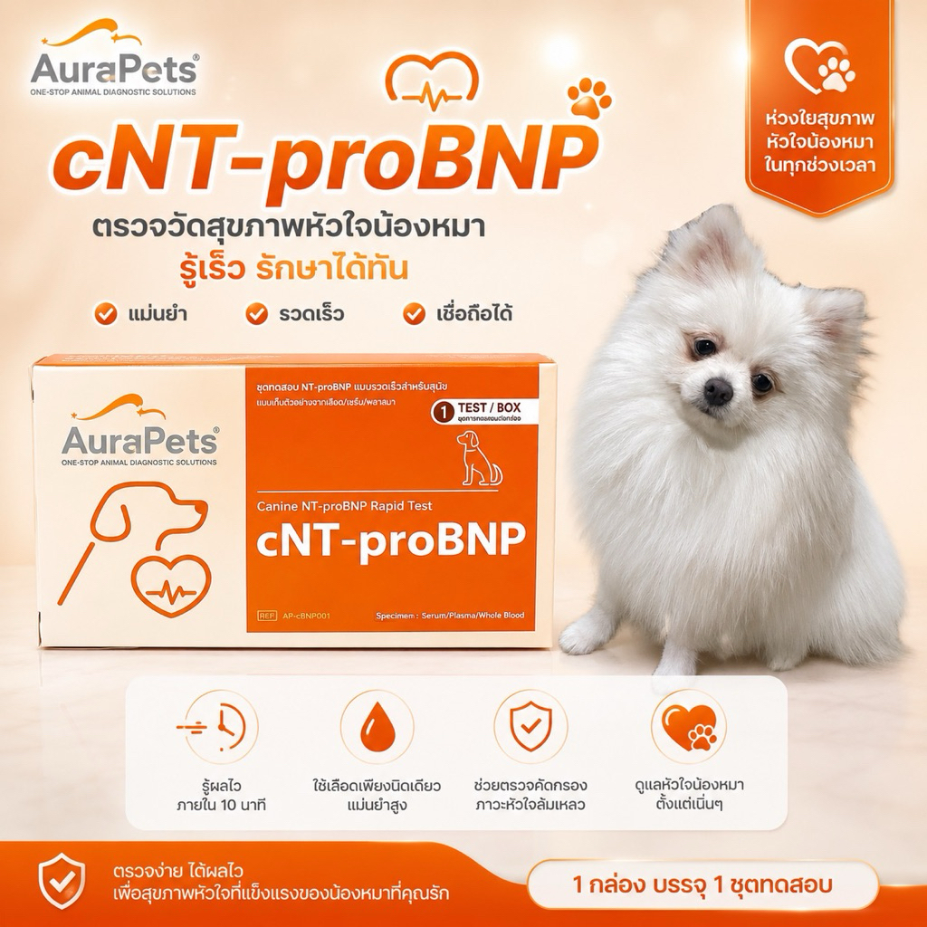 Aurapets ออราเพ็ท ชุดตรวจ cNT-ProBNP ภาวะหัวใจล้มเหลวในสุนัข heart failure