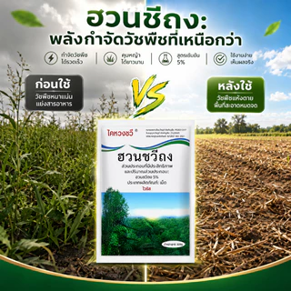 ยาฆ่าไผ่ ยาฆ่าหญ่ 500g ไม่ทำลายดิน รวดเร็ว ทนนาน ผงกำจัดต้นไม้ ผงกำจัดกอไผ่ ยาฆ่าตอ ไม้ ยาฆ่าไม่ไผ่ ยาฆ่าตอต้นไม้