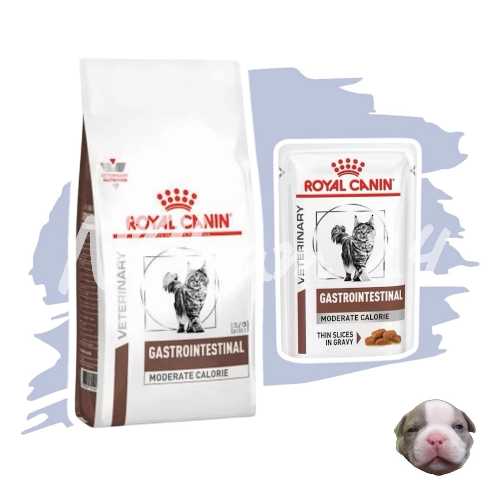 Royal canin Gastrointestinal Moderate Calories อาหารแมว รักษาโรคทางเดินอาหาร จำกัดพลังงาน Gi moderate