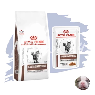 Royal canin Gastrointestinal Moderate Calories อาหารแมว รักษาโรคทางเดินอาหาร จำกัดพลังงาน Gi moderate