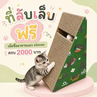 ที่ลับเล็บแมว กล่องแมว บ้านแมว ของเล่นแมว ที่นอนแมว มาใหม่หลายแบบ