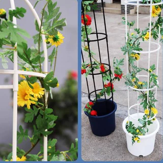 ซุ้มกุหลาบ โครงกุหลาบเลื้อย PE กันสนิม ทนทาน ซุ้มไม้เลื้อย สำหรับพืชปีนเขาและดอกไม้ยืน ซุ้มกุหลาบเลื้อย ซุ้มไม้เลื้อย