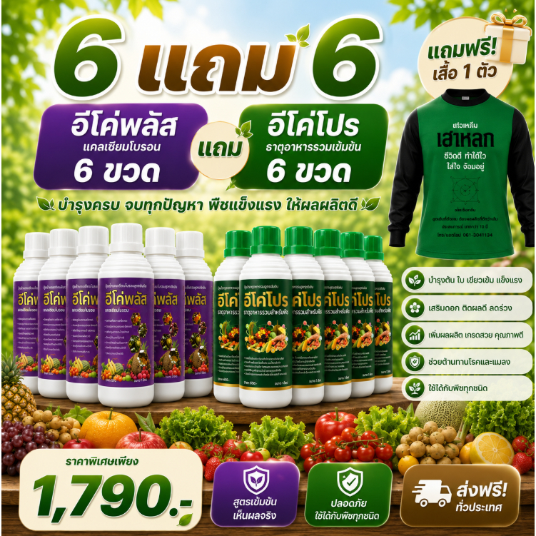 ปุ๋ยน้ำ (6แถม6 แถม) อีโค่โปร ธาตุอาหารพืชรวม + อีโค่พลัส แคลเซียมโบรอน ใบเขียวโตเร็วดอกผลแข็งแรง 1ลิตร