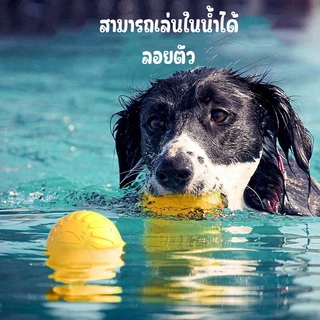 ของเล่นสุนัขออกกำลังกายลอยน้ำได้ ห่วงโยนรับจานบินและลูกบอล ช่วยคลายเครียด เสริมสร้างความสัมพันธ์กับเจ้าของ