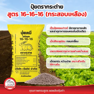 [ขนาด 50 กิโลกรัม] ปุ๋ยตรากระต่าย 16-16-16 กระสอบเหลือง และกระต่ายบลู ปุ๋ยสูตรเสมอ บำรุงต้น ใบ ผล
