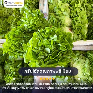 🛒Oishi-Fresh🥬กรีนโอ็ค ปลอดสารพิษ 1 กก. รสชาติกรอบ สด ใหม่ ใยอาหารสูง หวานออร์แกนิค ผัก เคลมได้ 1-2 วัน