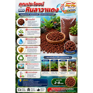 หินภูเขาไฟ ลาวา แดง (Lava stone)ใส่ในตู้ปลา ตู้กุ้ง จัดตกแต่งสวนภูมิทัศน์