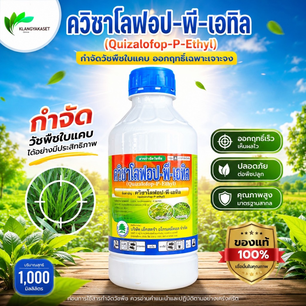ควิซาโลฟอป -พี-เอทิล ขนาด 1ลิตร กำจัดวัชพืชใบแคบ ล้มลุก ปลอดภัยต่อพืชใบกว้าง ทานตะวัน ผัก พืชตระกลูถั่ว พืชตระกลูมัน