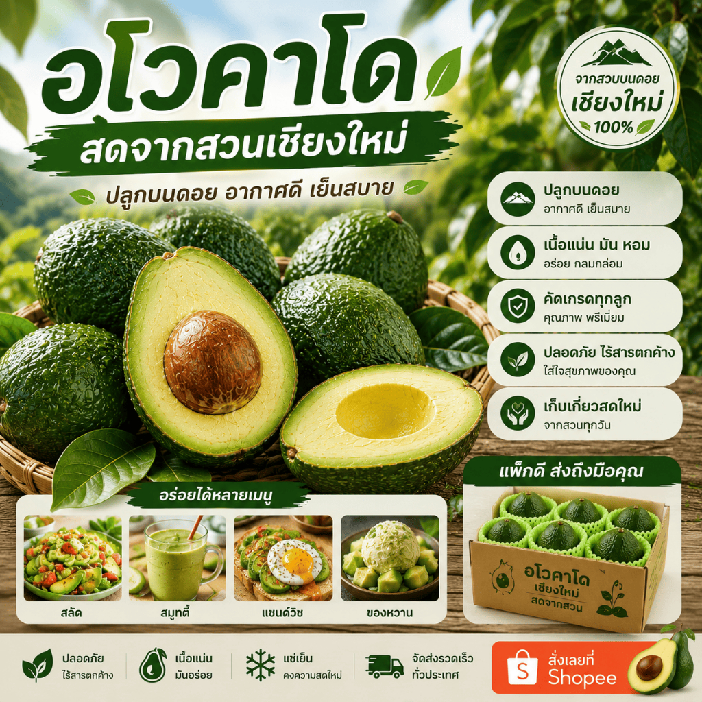 อโวคาโดสดจากสวนขนาด 3-4 ลูก (กล่อง 1 กิโลกรัม) เก็บจากดอยสูงเชียงใหม่
