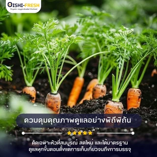 🛒Oishi-Fresh🥕เบบี้แครอท 3 สี ปลอดสารพิษ 1 กก. รสชาติกรอบ สด ใหม่ ใยอาหารสูง หวานออร์แกนิค ผัก เคลมได้ 1-2 วัน