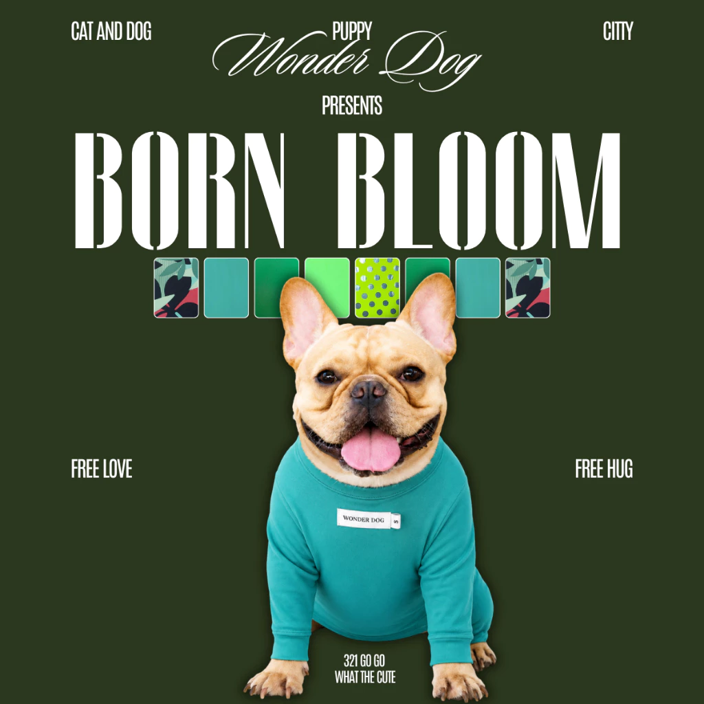 ชุดเก็บขน wonder dog เสื้อสุนัข เสื้อแมว ชุดกันขนร่วง ชุดหมาชุดแมว โทนเขียว ตารางไซส์เลื่อนขวานะคะ