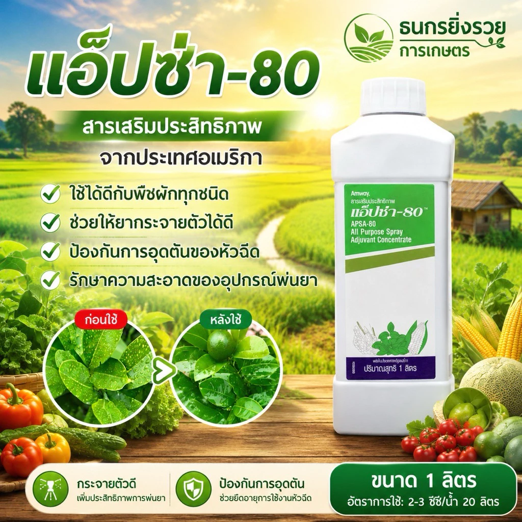 แอ็ปซ่า-80 ยาจับใบที่ดีที่ชานนาเลือกใช้