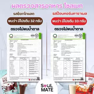 Soulmate Protein Hydrolyzed โซลเมท โปรตีน ไฮโดรไลซ์ | โปรตีนพืชผสมไข่ขาว [400 G]