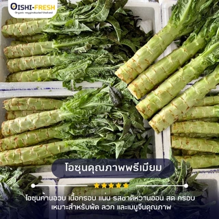 🛒Oishi-Fresh🥬โอซุน ปลอดสารพิษ 1 กก. รสชาติกรอบ สด ใหม่ ใยอาหารสูง หวานออร์แกนิค เคลมได้ 1-2 วัน