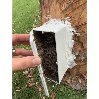 Termite Bio Bait ชุดเหยื่อเชื้อรากำจัดปลวกตายยกรัง เหยื่อชีวภัณฑ์กำจัดปลวก