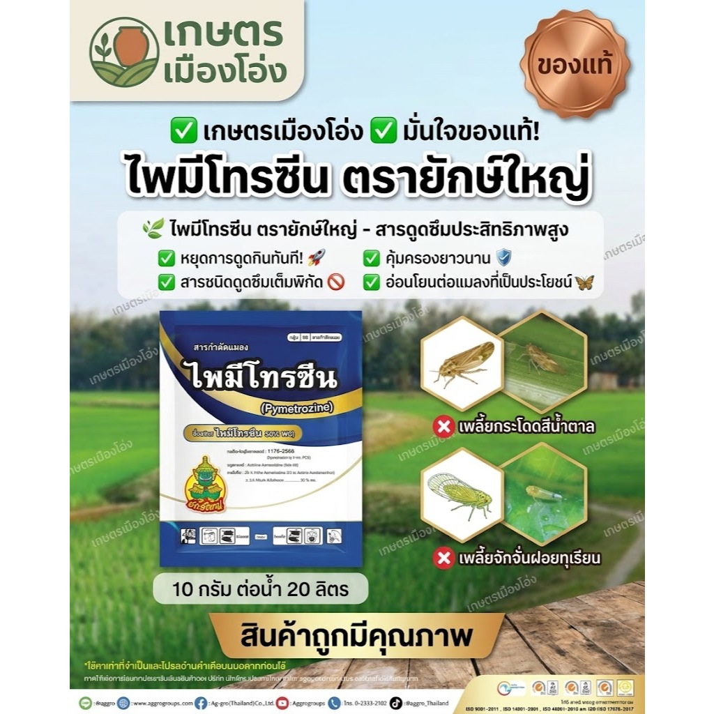 ไพมีโทรซีน (pymetrozine) 50% WG กำจัดเพลี้ยทุกชนิด กำจัดแมลง ยักษ์ใหญ่