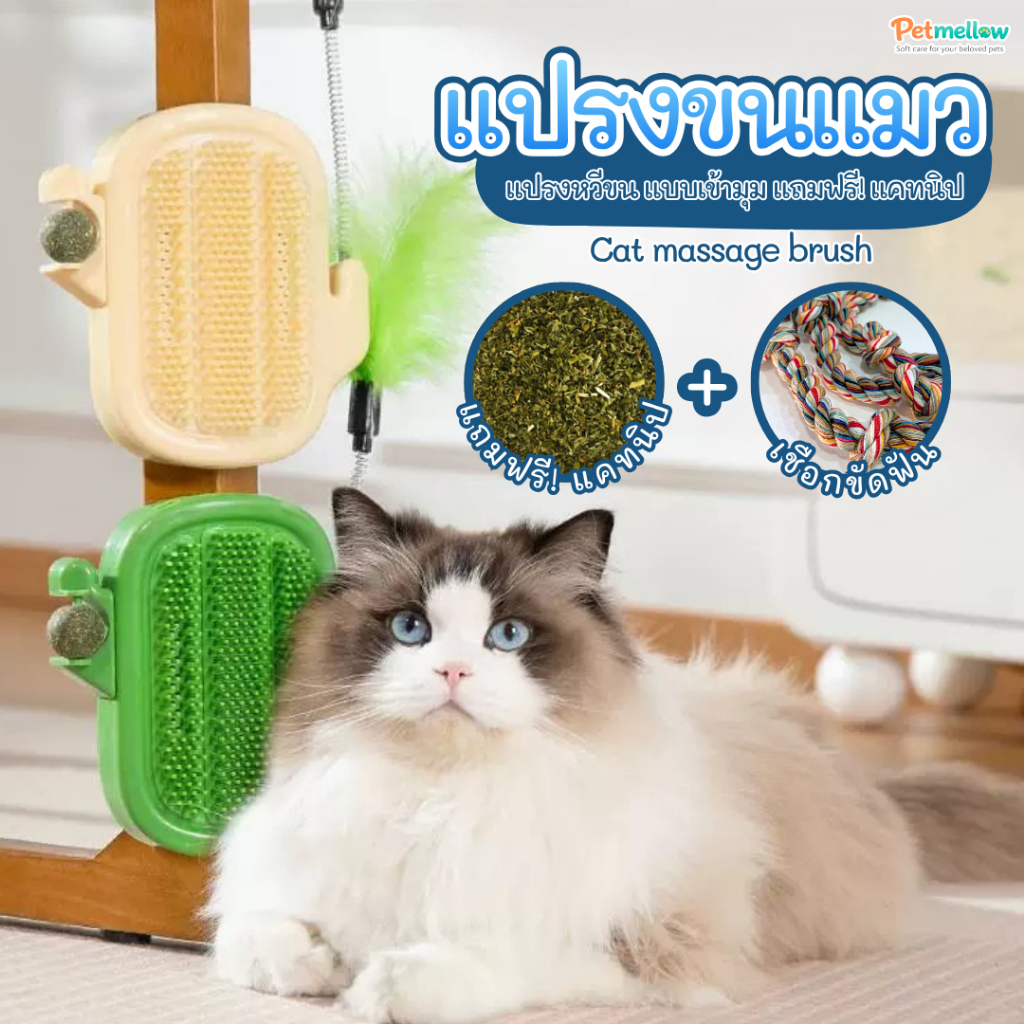 แปรงหวีขนแมว ดีไซน์กระบองเพชร 3-in-1 หวีสางขนแมวแบบถือมือ แปรงแต่งขนแมวอัตโนมัติ แถมฟรี! แคทนิพผง