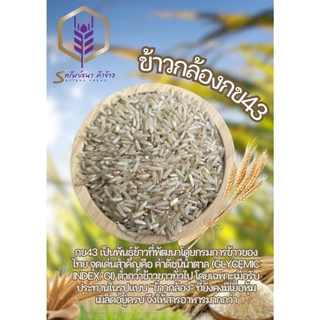 ข้าวกล้องกข43 กระสอบ5กิโลกรัม หอม อร่อย ตราทรัพย์ธนา