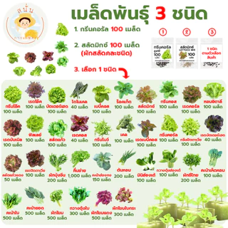 (ชุดพร้อมปลูก กล่อง 2 ใบ) ชุดปลูกผักไฮโดรโปนิกส์ ครบชุด กล่องโฟมปลูกผัก เมล็ด 3 ชนิดและคู่มือการปลูก