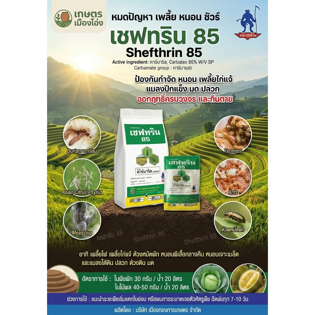 เซฟทริน85 (คาร์บาริล) #ตราปีศาจ ป้องกันกำจัดแมลงปากกัดและปากดูด ออกฤทธิ์ถูกตัวตายและกินตาย 100กรัม