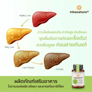 Vitanature plus ตรีผลา และ อาร์ติโช๊ค บำรุงตับ ล้างพิษตับ