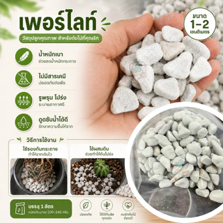 เพอร์ไลท์ ขนาด(ใหญ่) 1- 2 เซน รองก้นกระถาง แคคตัส ไม้อวบน้ำ ผสมดินปลูก ไม้ฟอกอากาศ รากเดินดี โปรง ระบายน้ำได้ดี