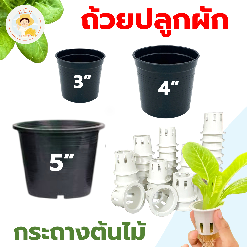 (พร้อมส่ง) ถ้วยปลูกผักไฮโดรโปนิกส์ สีขาว กระถางต้นไม้ สีดำ แบบหนา ใช้ซ้ำได้ ขนาด 2 3 4 5 นิ้ว