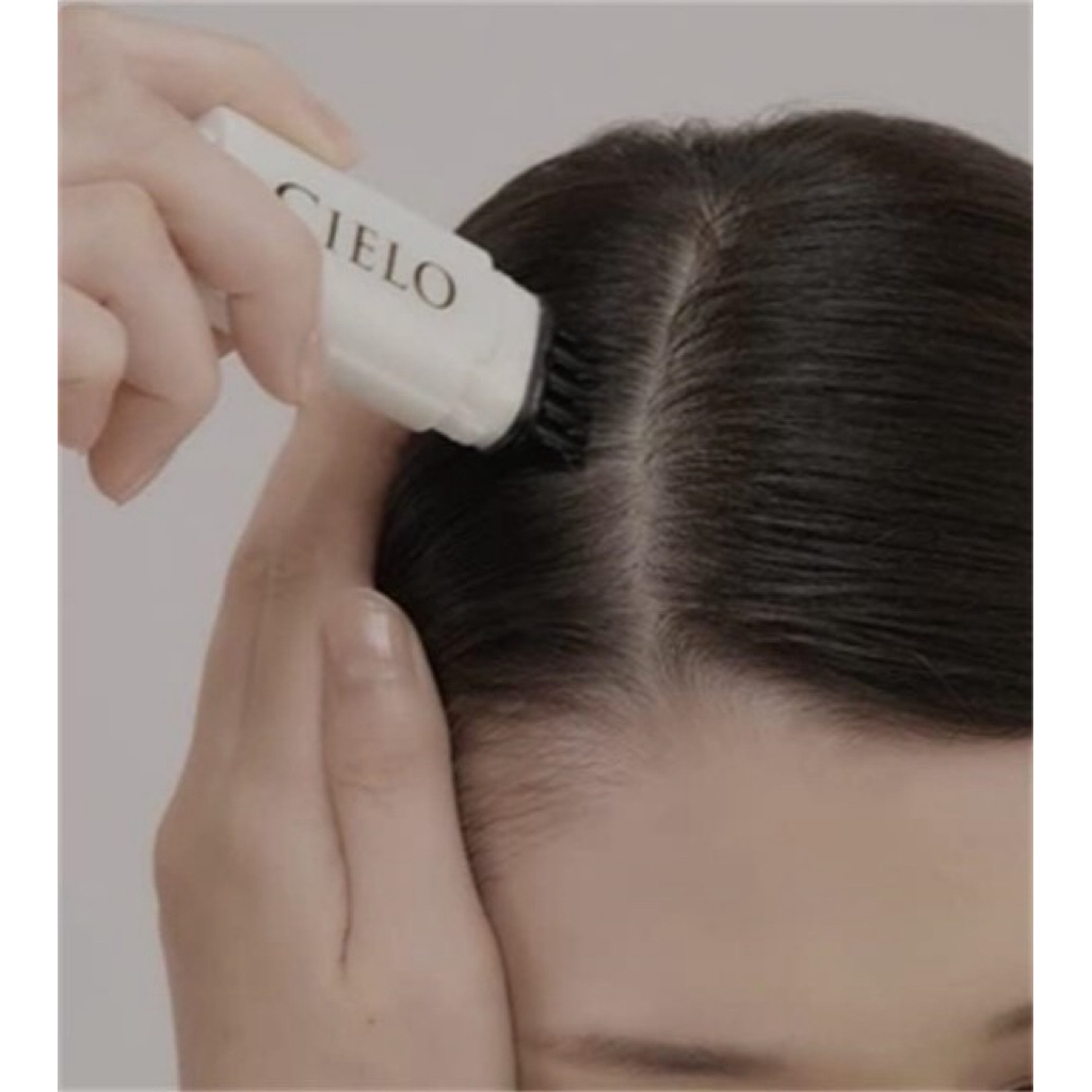 ✨ hoyu cielo 1 Day Gray Hair Concealer 9mL  หวีปิดผมขาว