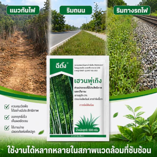 ยาฆ่าไผ่ ยาฆ่าหญ่ 500g ไม่ทำลายดิน รวดเร็ว ทนนาน ผงกำจัดต้นไม้ ผงกำจัดกอไผ่ ยาฆ่าตอ ไม้ ยาฆ่าไม่ไผ่ ยาฆ่าตอต้นไม้