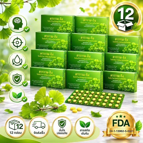 ราคาขายส่ง 12 กล่อง ใบแป๊ะก๊วยสกัดชนิดเม็ด Y-GINK 30 เม็ด Ginkgo