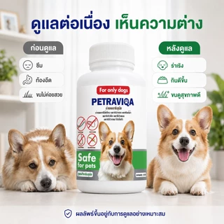 Virapet เสริมอาหารสุนัข ถ่ายพยาธิสุนัข ปรสิตภายใน หมาผอม เบื่ออาหาร ขนร่วง เสริมภูมิสัตว์เลี้ยง