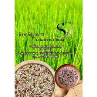 ข้าวกล้องผสมมะลิแดง 500 กรัม ตราทรัพย์ธนา แพ็คทดลองยอดนิยม