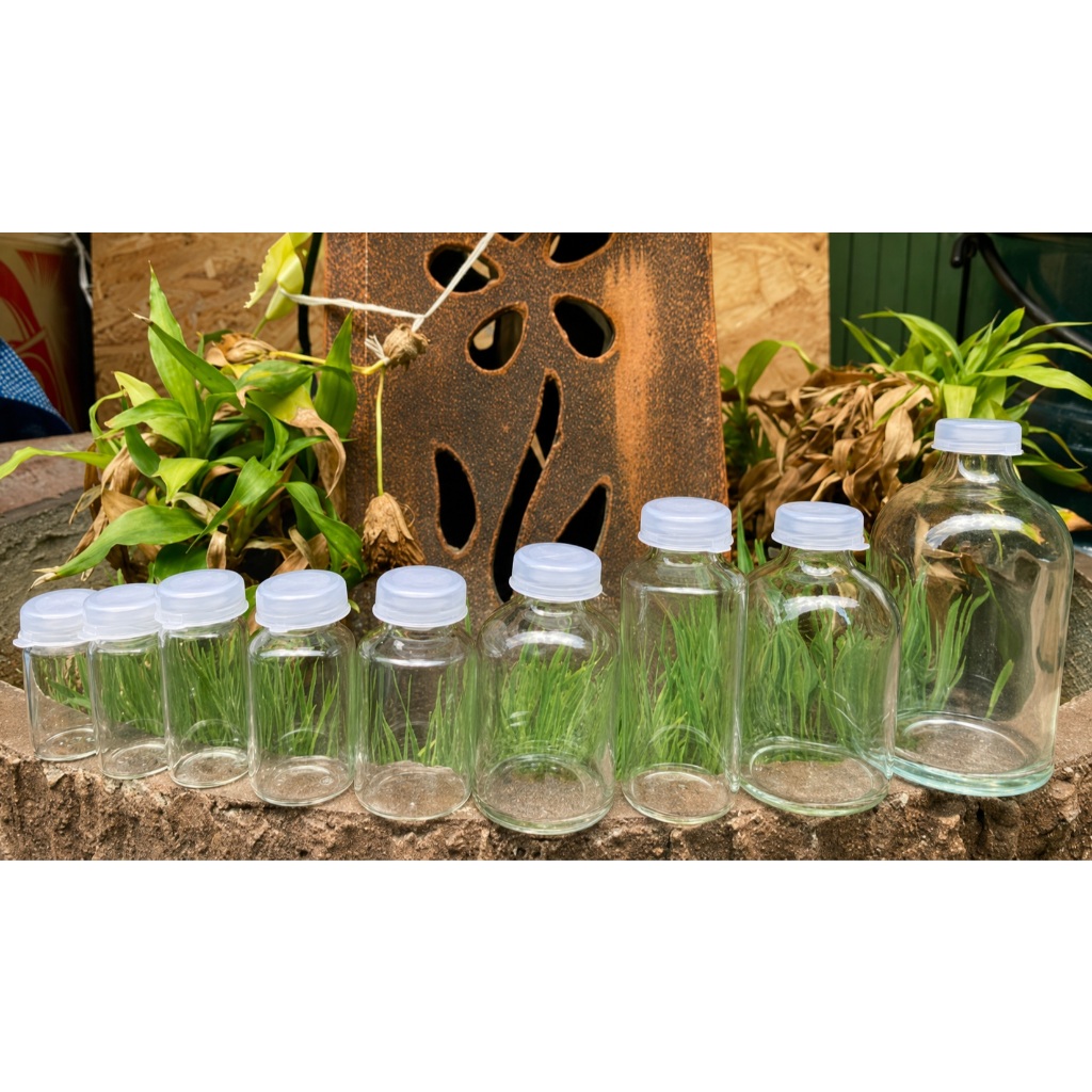 ขวดแก้วสีใส พร้อมฝากดปิด 5-100 ml ใส่น้ำได้