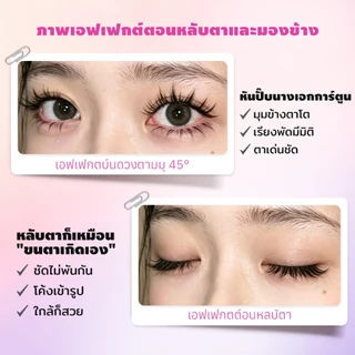 Dreehalo ขนตาญี่ปุ่น ขนตาดอลลี่อาย แกนใส ขนตาเปียกตาโต เรียงเส้นชัด ดูเป็นธรรมชาติ ถ่ายรูปสวย มือใหม่ใช้ได้ F320