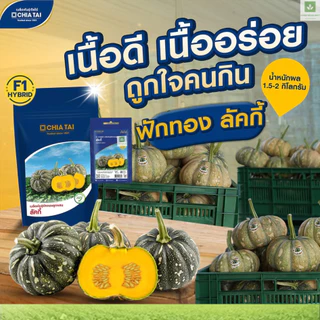 ใหม่! ฟักทอง ลัคกี้ เจียไต๋ เมล็ดพันธุ์ฟักทอง Lucky Pumpkin Seed