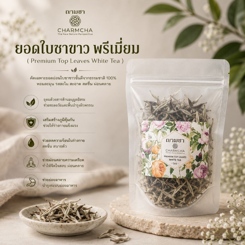 ยอดใบชาขาว พรีเมี่ยม (Premium Top Leaves White Tea) หอมมากก ต้องลอง เหมือนชงชาอยู่ในไรชา ละมุนมาก ฌามชา Charmcha ยอดชา