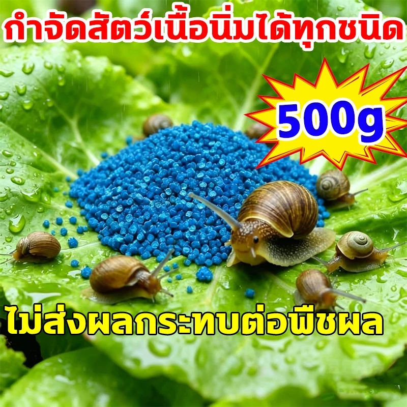 🔥รุ่นยอดฮิต กำจัดหอย 500g สลายตัวเร็วจึงทำให้ไม่มีสารพิษตกค้างในพืชและสภาพแวดล้อม ยาฆ่าหอย เหยื่อกำจัดหอย ยาฆ่าหอยทาก