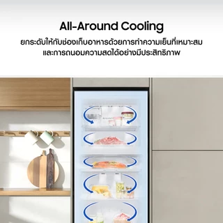 [Pre-Order จัดส่งฟรี] SAMSUNG ตู้เย็น 2 ประตู 393 ลิตร/13.9 คิว RT38CG6020S9ST พร้อมด้วย All-Around Cooling