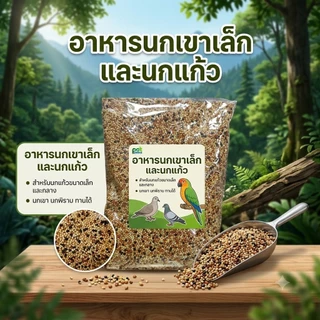 อาหารนก ขนมนก อาหารนกเขาเล็ก อาหารเขาเล็ก อาหารนกหงส์หยก มิลเลต3สี อาหารนกเขาชวา ธัญพืชสำหรับ นก ขนาด 1 กิโลกรัม