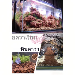 หินลาวาแดง หินลาวาดำ วัสดุกรองตู้ปลา บ่อปลา จากธรรมชาติ จมน้ำ มีรูพรุนสูง ช่วยเป็นที่อยู่ของแบคทีเรียได้เป็นอย่างดี